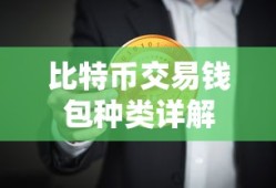 比特币交易钱包种类全面解析