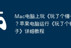 Mac电脑上玩《玩了个锤子》？苹果电脑运行《玩了个锤子》详细教程