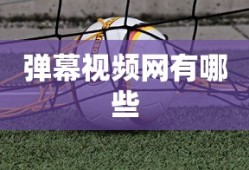 弹幕视频网有哪些