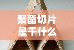 聚酯切片是干什么用的呢