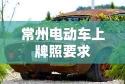 常州电动车上牌照要求