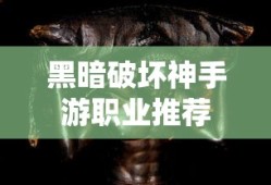 黑暗破坏神手游职业推荐