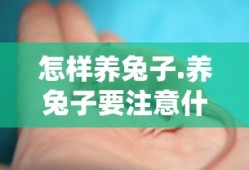 怎样养兔子.养兔子要注意什么?