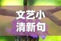 诗意生活，文艺小清新的诗意句子