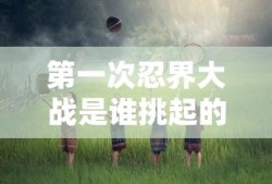 第一次忍界大战是谁挑起的