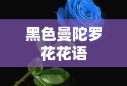 黑色曼陀罗花花语