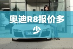破冰行动演员表