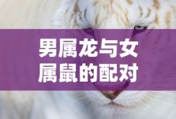 黎明杀机游戏初始化错误,可能无法正常保存游戏