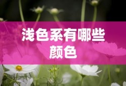 浅色系有哪些颜色