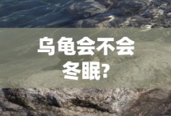 天地英雄官网网址
