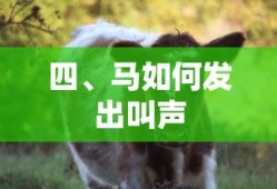 轩辕剑官网下载