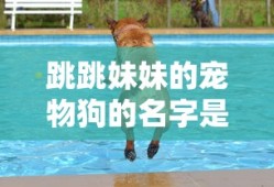 跳跳妹妹的宠物狗的名字是