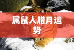 东界王神战斗力