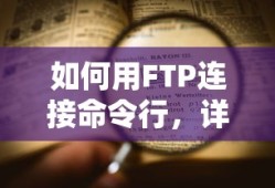 燃烧意志麦哲伦无限复活怎么打