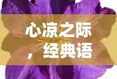 红楼梦中的经典佳句