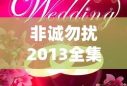 非诚勿扰2013全集完整版免费观看