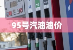 95号汽油油价