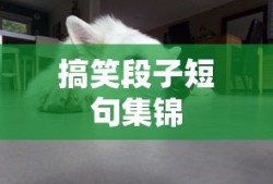奇瑞开瑞优派改装