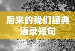 后来的我们经典语录短句