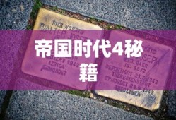 帝国时代4秘籍