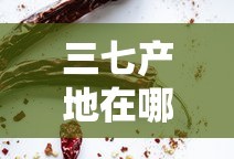 三七产地在哪里最好
