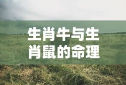 蜀门手游新手入门指南——玩转蜀门世界，轻松上手！