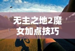无主之地2魔女加点技巧详细