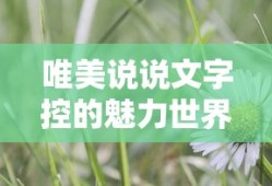 唯美说说，文字控的魅力世界