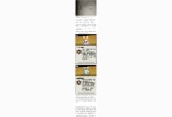 超时空跑跑混沌宠物搭配攻略