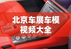 北京车展车模视频大全