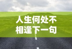人生何处不相逢下一句