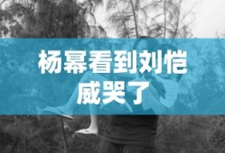 杨幂看到刘恺威哭了