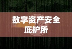 俶尔远逝，探索深邃未知的旅程