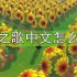 牧野之歌中文怎么设置-中文设置方法分享