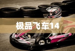 极品飞车14，速度与激情的极致官网深度探索体验
