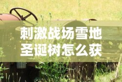 刺激战场雪地圣诞树怎么获得