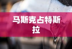 马斯克占特斯拉