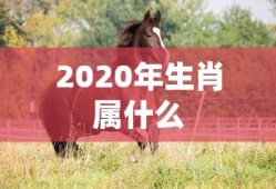 2020年生肖属什么