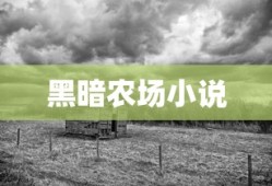 黑暗农场小说