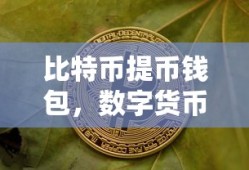 比特币提币钱包，数字货币交易的便捷之选