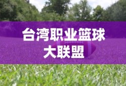 台湾职业篮球大联盟