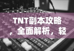 TNT副本攻略全面解析，轻松通关秘籍