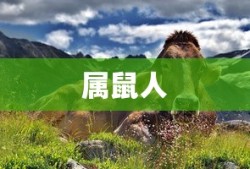 hd graphics 530相当于什么显卡
