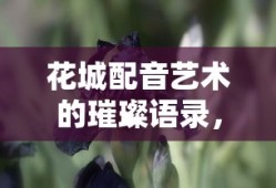 深入解析Charles设置抓包过滤的技巧