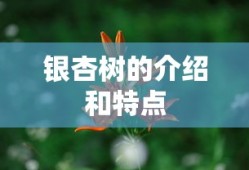 膨体腈纶的优缺点