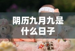 阴历九月九是什么日子