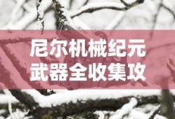 尼尔机械纪元武器全收集攻略