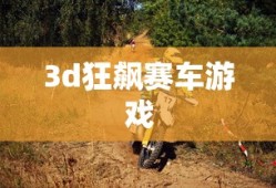 3d狂飙赛车游戏