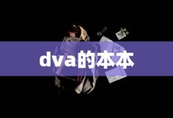 dva的本本