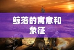 鲸落的寓意和象征